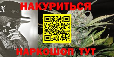 скорость Кингисепп