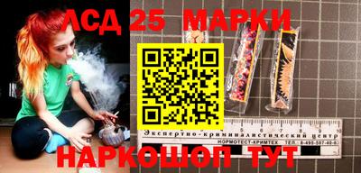 скорость Кингисепп