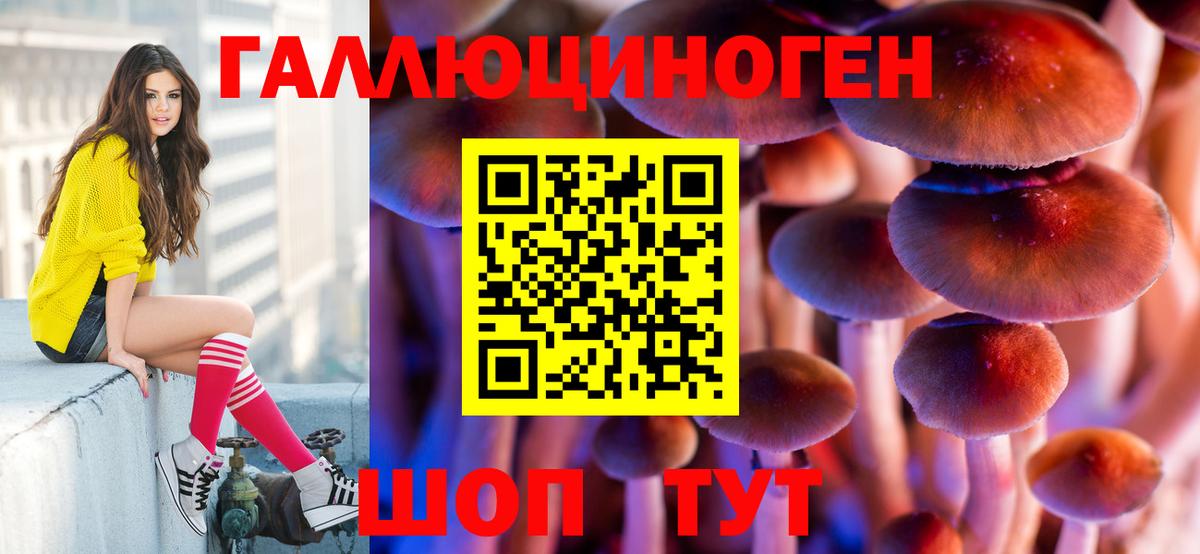 Галлюциногенные грибы Psilocybe Касимов